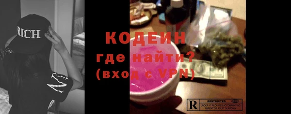 индика Балахна