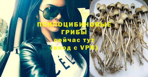 mdpv Арсеньев