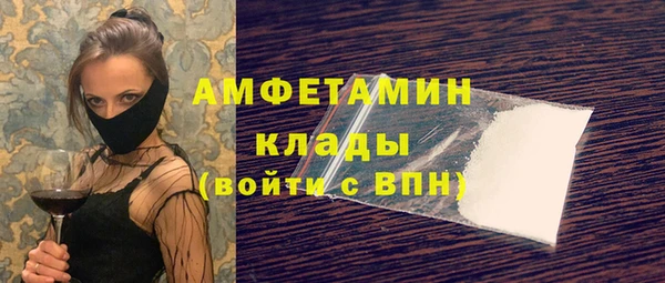сатива Баксан
