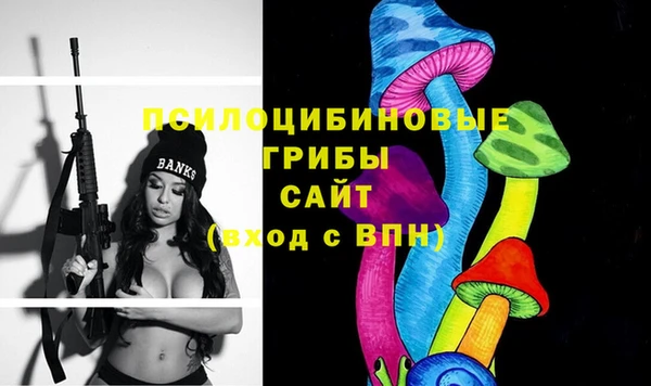 сатива Баксан